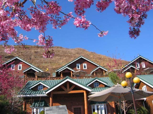 清境豐田桂林山莊民宿 Renai Luaran gambar